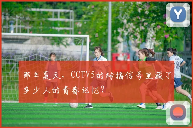 那年夏天，CCTV5的转播信号里藏了多少人的青春记忆？