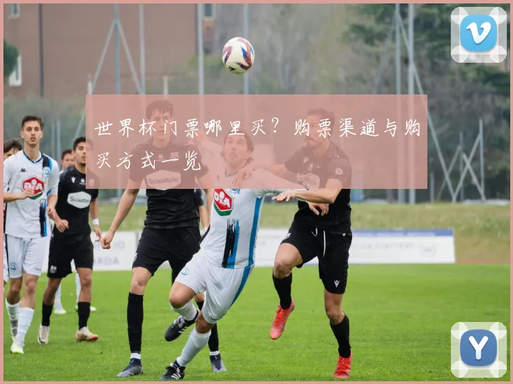世界杯门票哪里买？购票渠道与购买方式一览