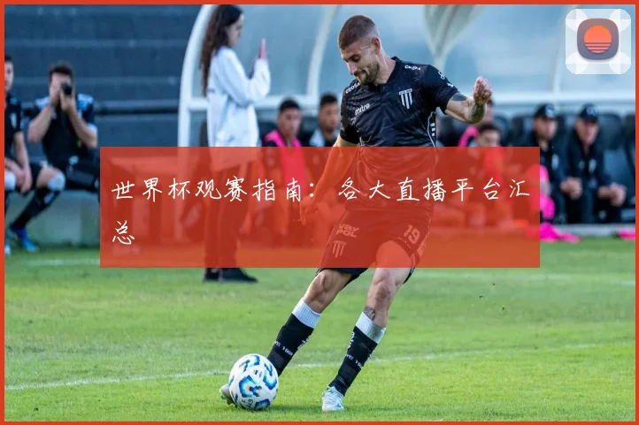世界杯观赛指南：各大直播平台汇总