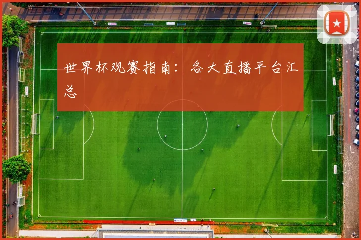 世界杯观赛指南：各大直播平台汇总