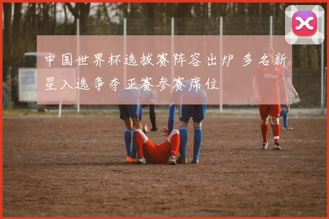 中国世界杯选拔赛阵容出炉 多名新星入选争夺正赛参赛席位