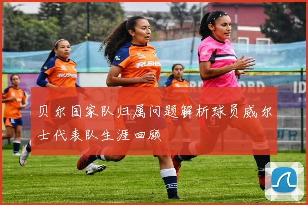 贝尔国家队归属问题解析球员威尔士代表队生涯回顾